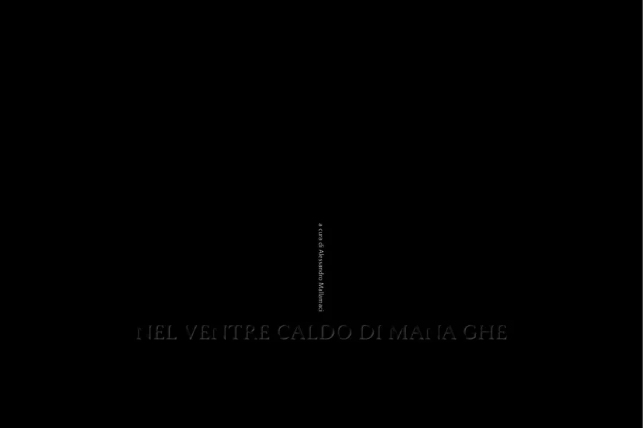The cover of Nel ventre caldo di Mana Ghe: the title in white on black