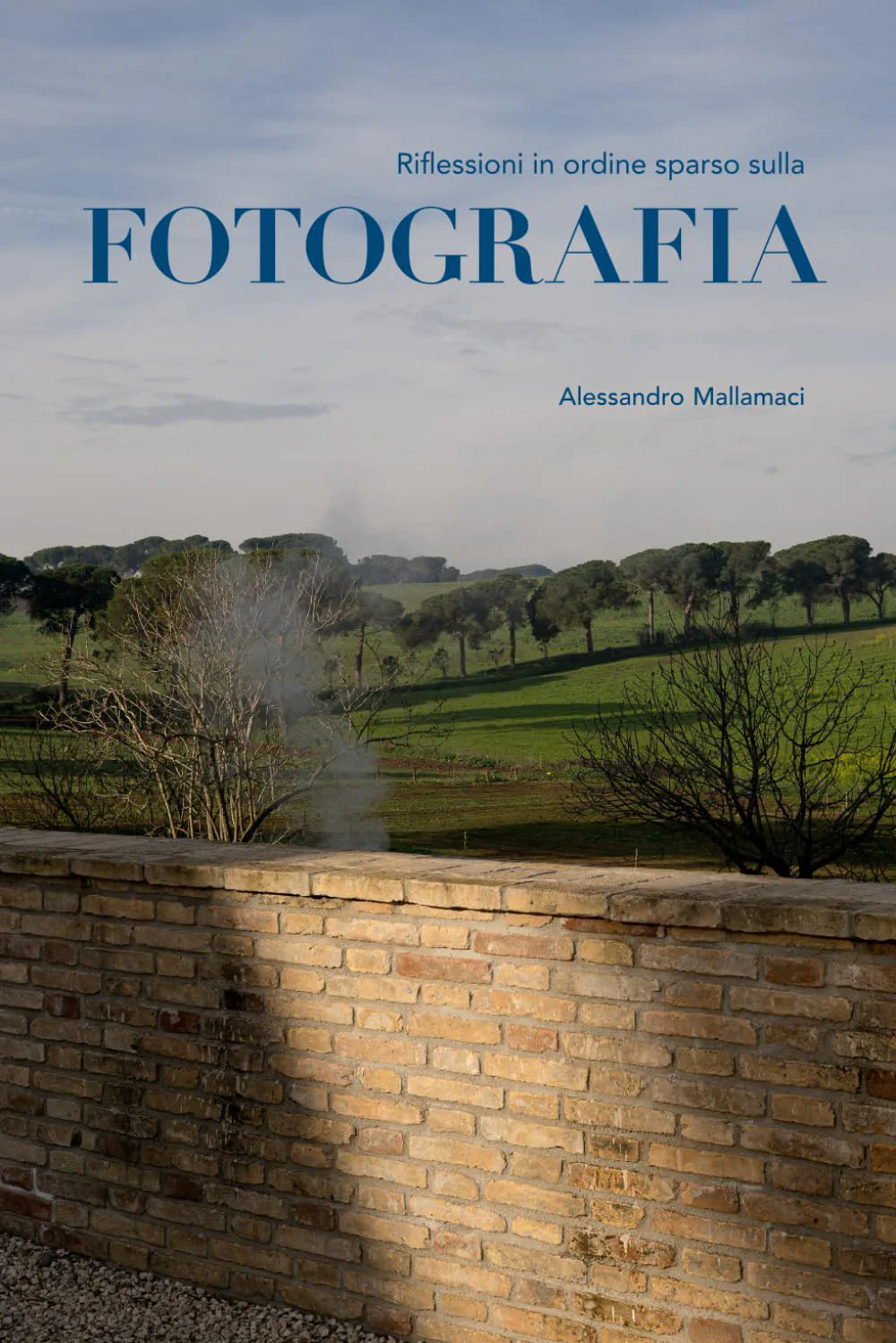 The cover of Riflessioni in ordine sparso sulla fotografia: a green field behind a brick wall