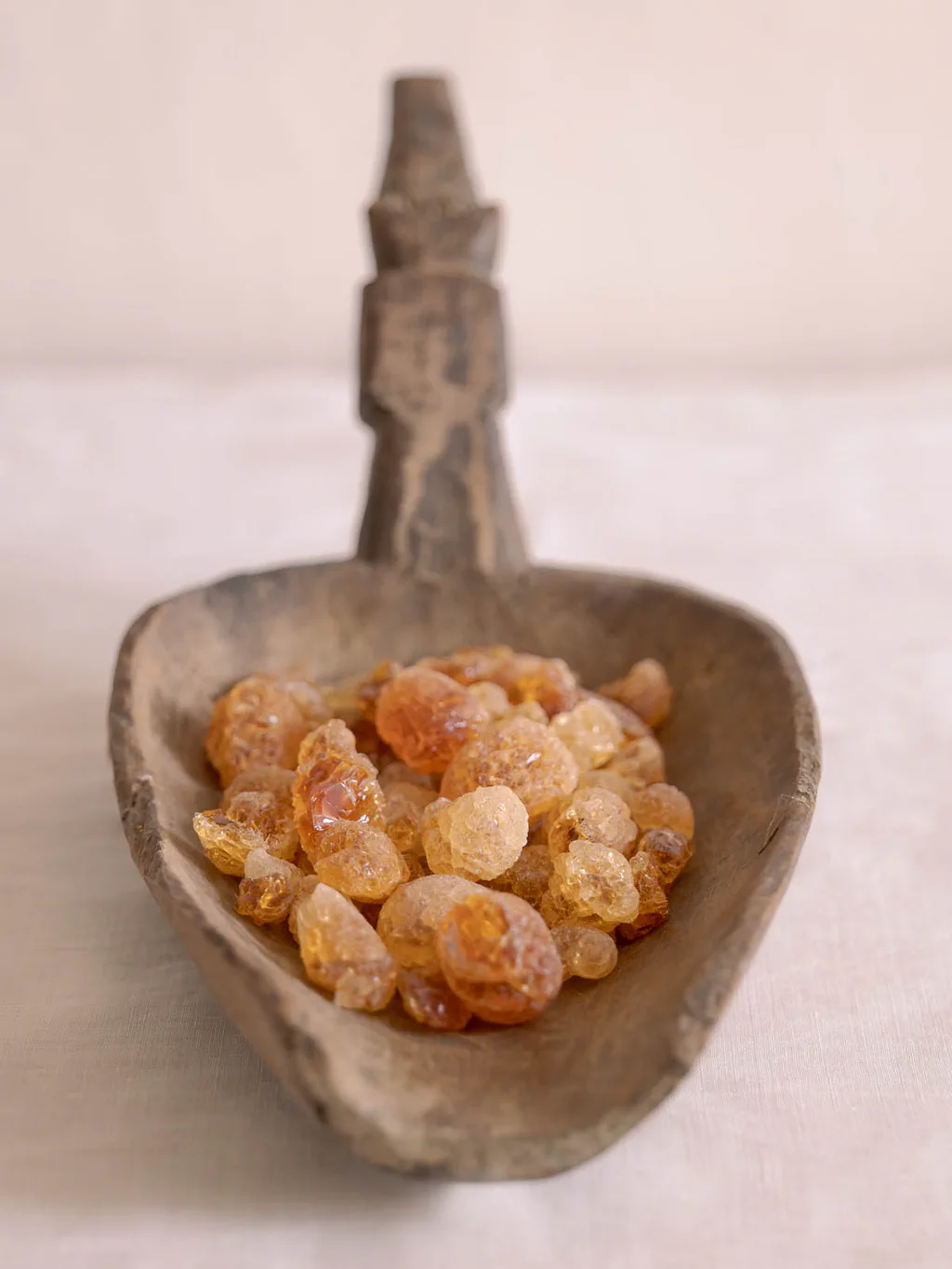 Wooden scoop holding amber grains of resin