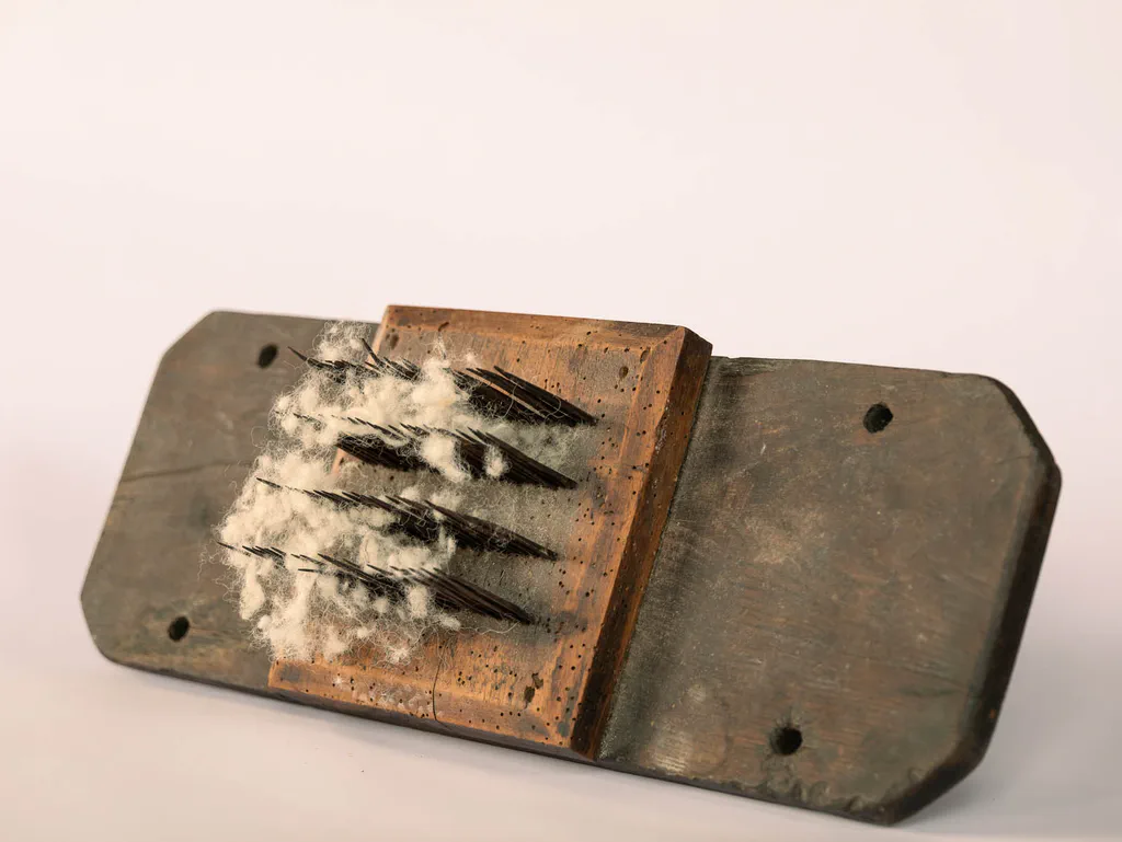 Metal carding tool with tufts of raw wool caught in its teeth