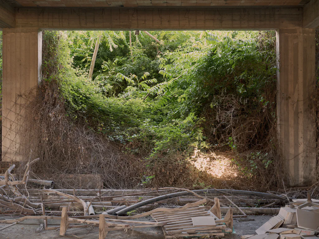 Concrete underpass framing dense vegetation, building debris on the ground