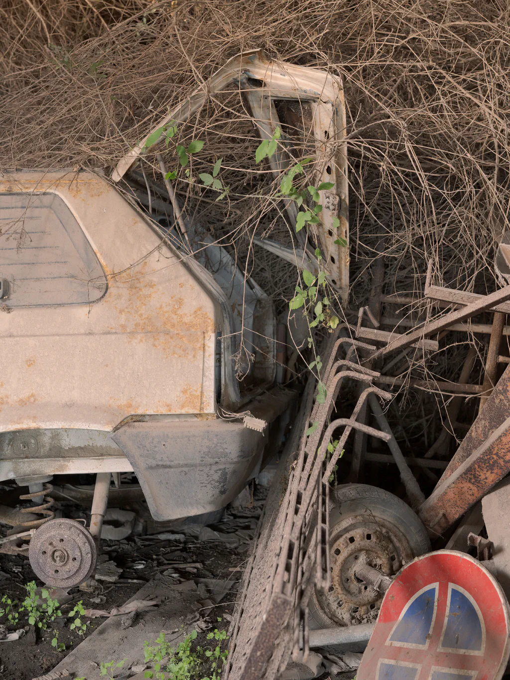 Rusted truck cab overtaken by brambles