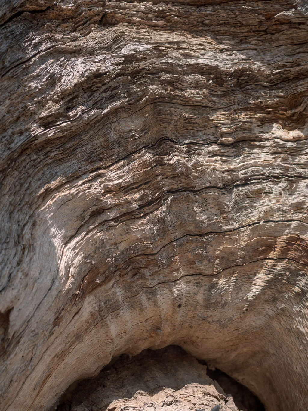 Layered rock face worn into curves, a dark hollow at its base