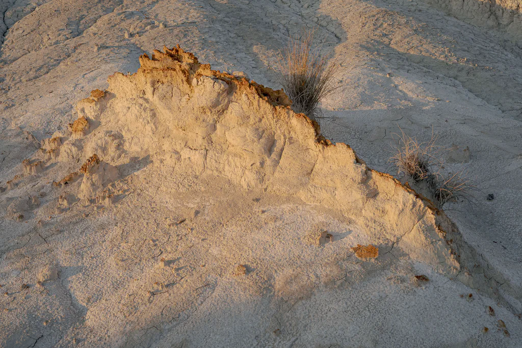 Eroded clay slope, a ridge of ochre earth catching the light