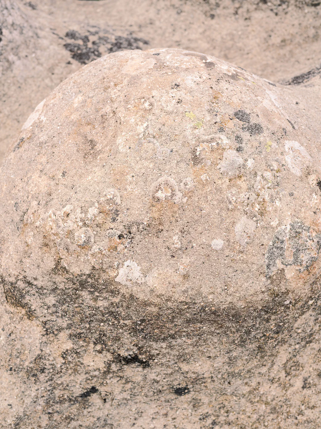 Rounded boulder mottled with lichen