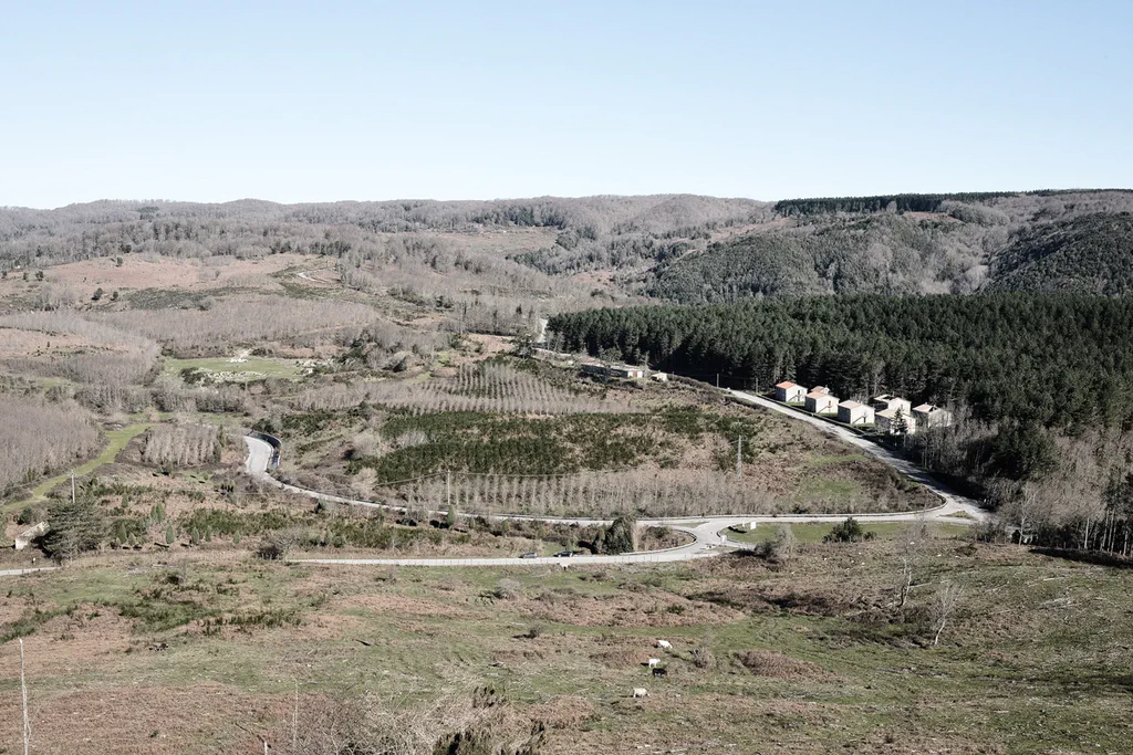 View over wooded hills, a road winding through the valley