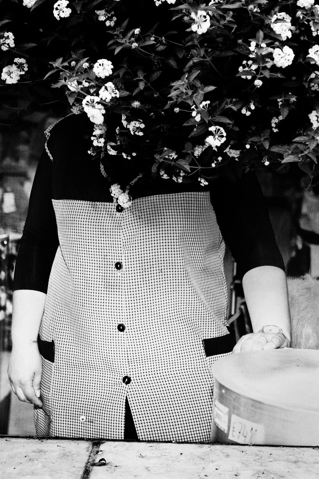 Woman in an apron at a work table, her head hidden by a flowering plant