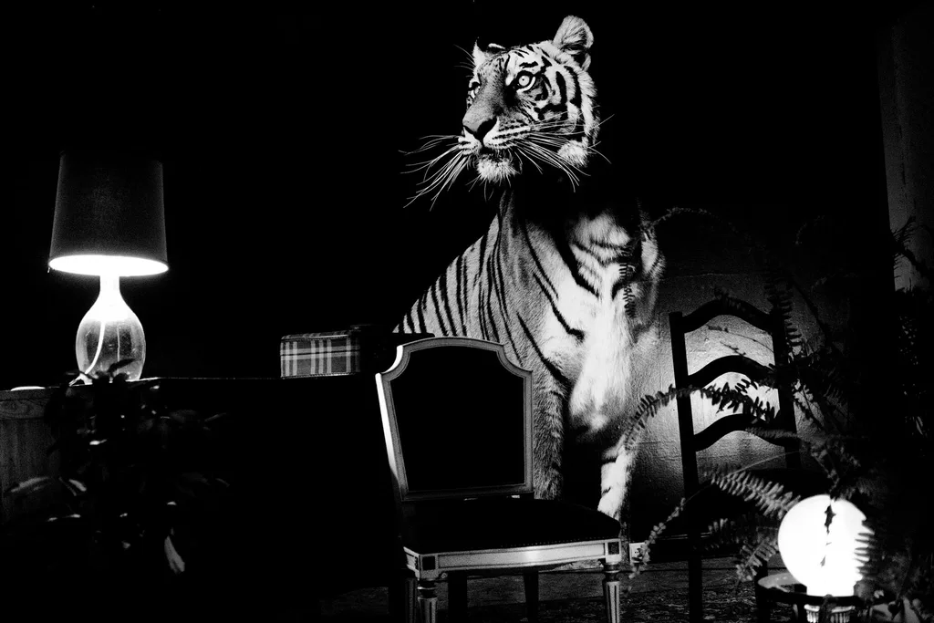 Stuffed tiger in a lamplit room beside an armchair