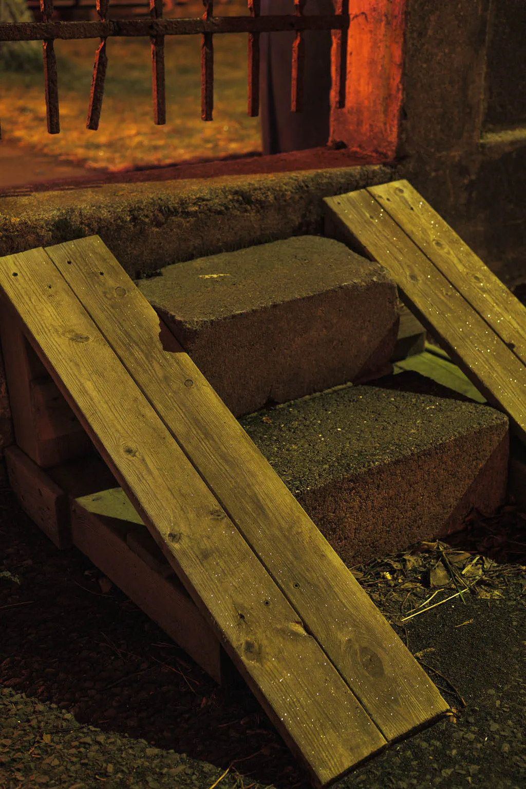 Wooden ramp and concrete steps in a garden at night