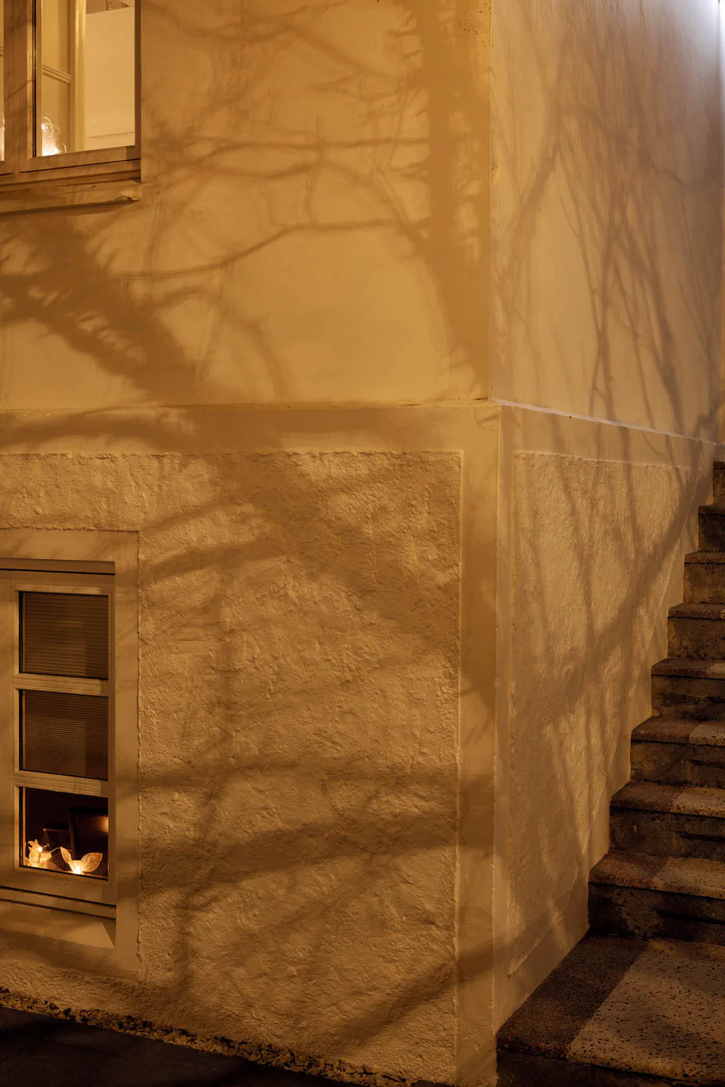 Shadows of branches thrown across a pale wall beside a stair