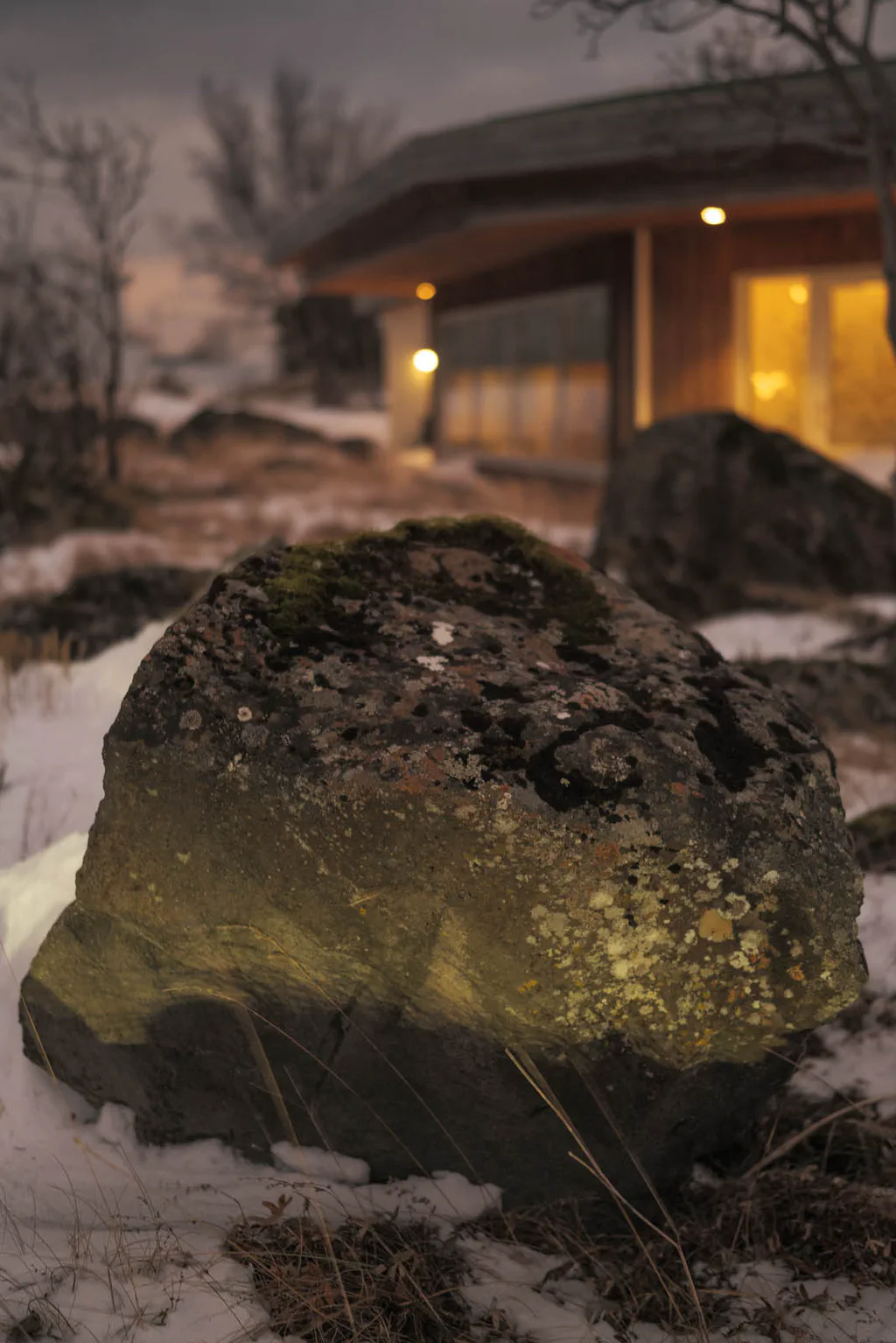 Mossy boulder in the snow in front of a lit building