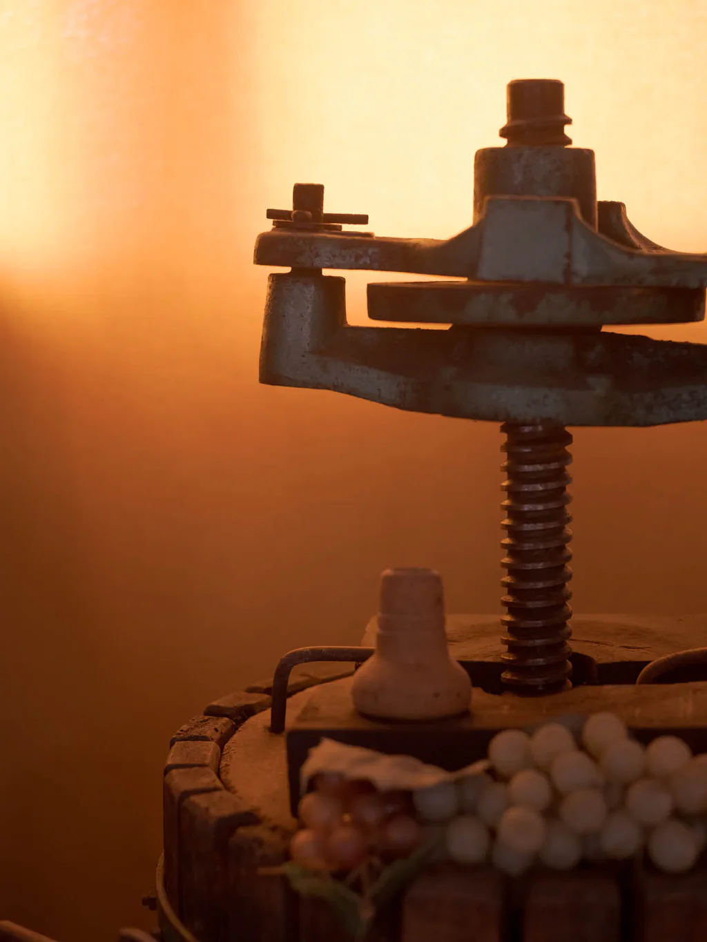 Wooden screw press over a bed of grapes, lit warm from the side