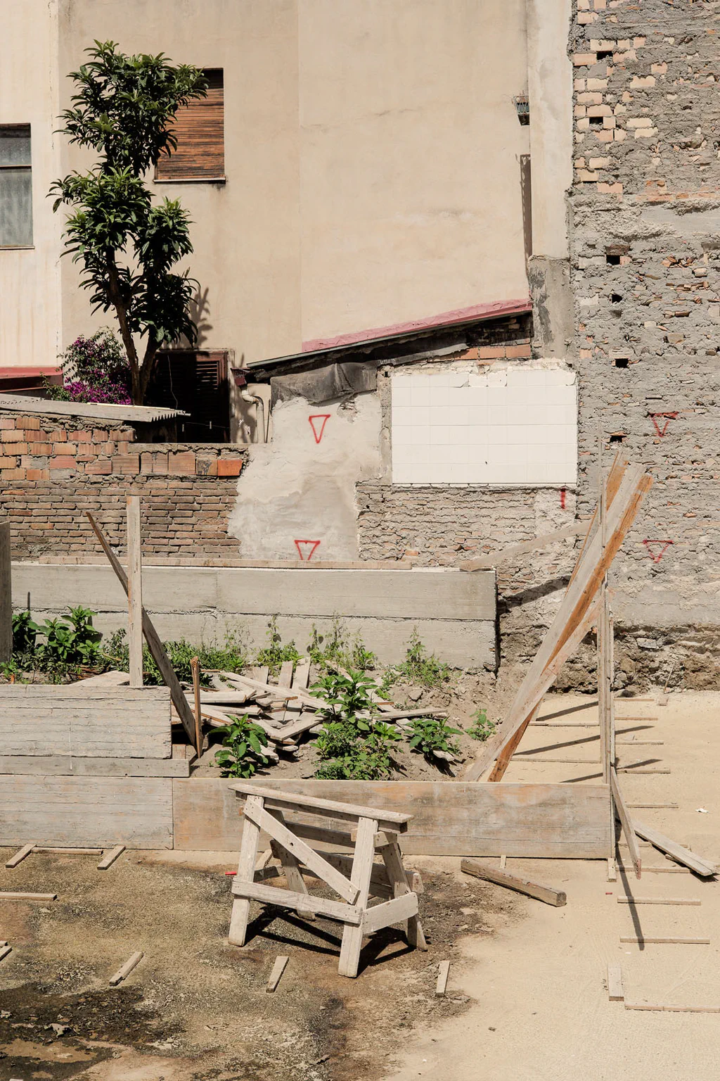 Half-demolished building with a tree growing from the exposed floor above