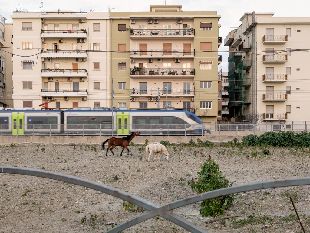 Horses grazing on waste ground in front of apartment blocks, a train passing behind