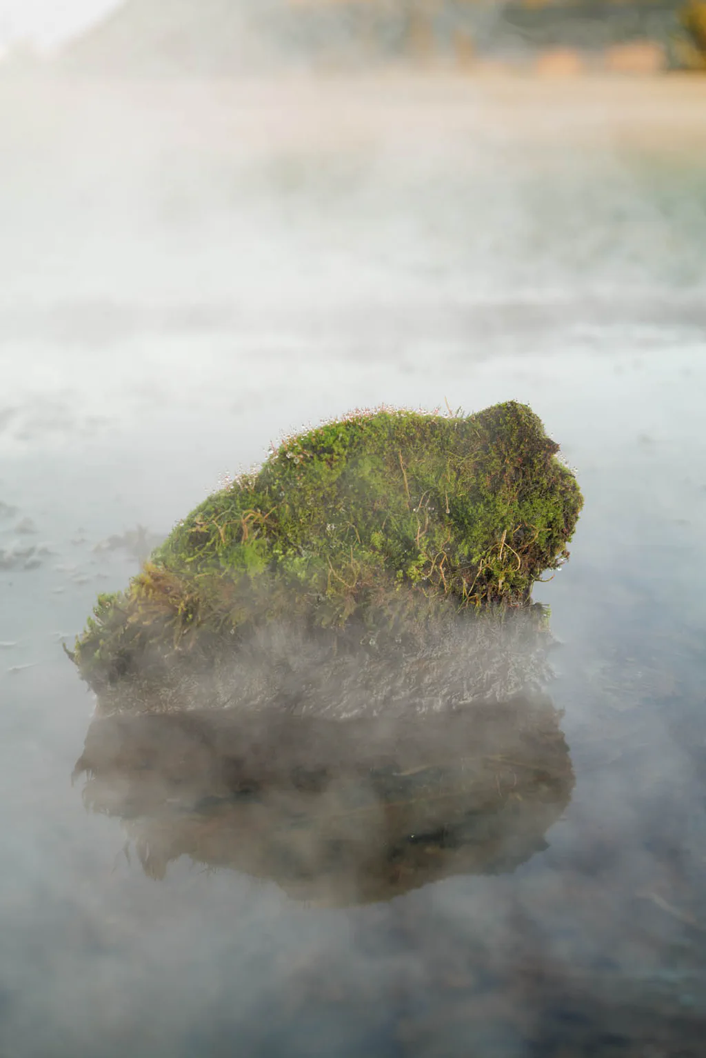 Moss-covered rock rising from a steaming geothermal pool