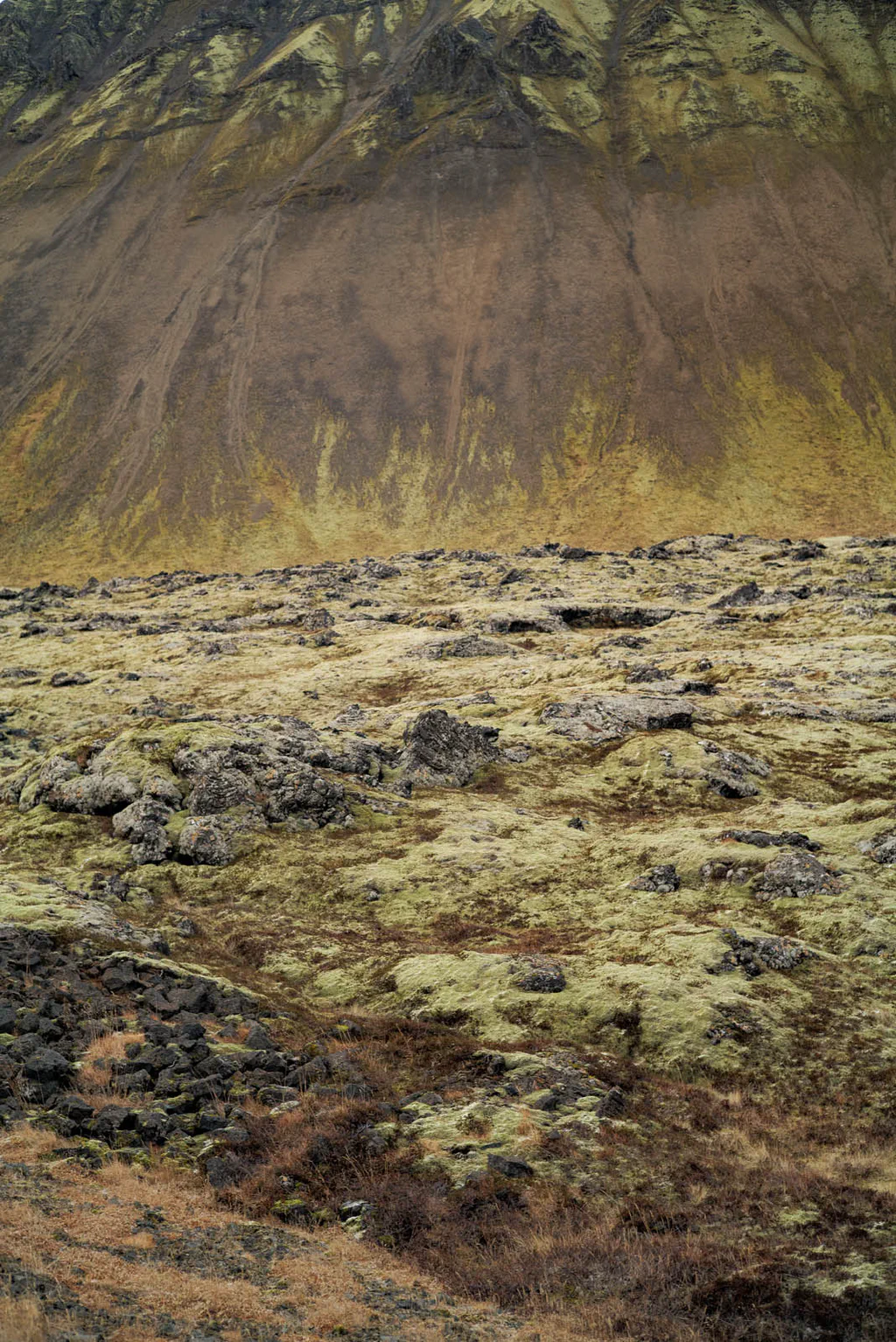 Lava field covered in yellow-green moss beneath a dark slope