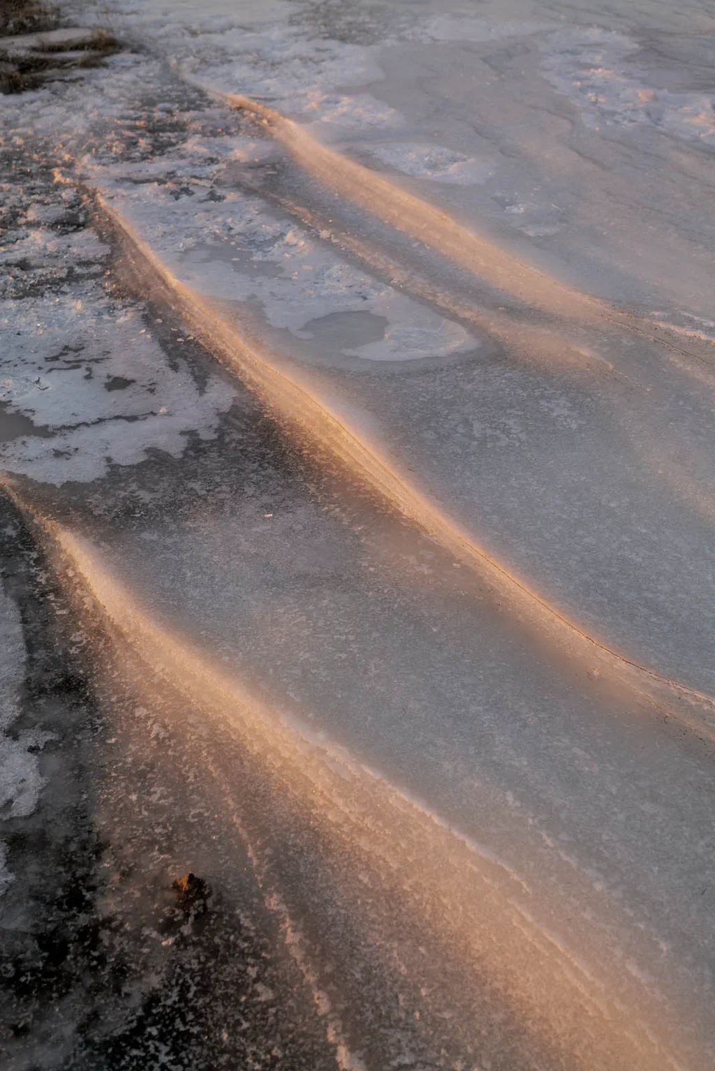 Ridges of ochre sand drifted across frozen ground