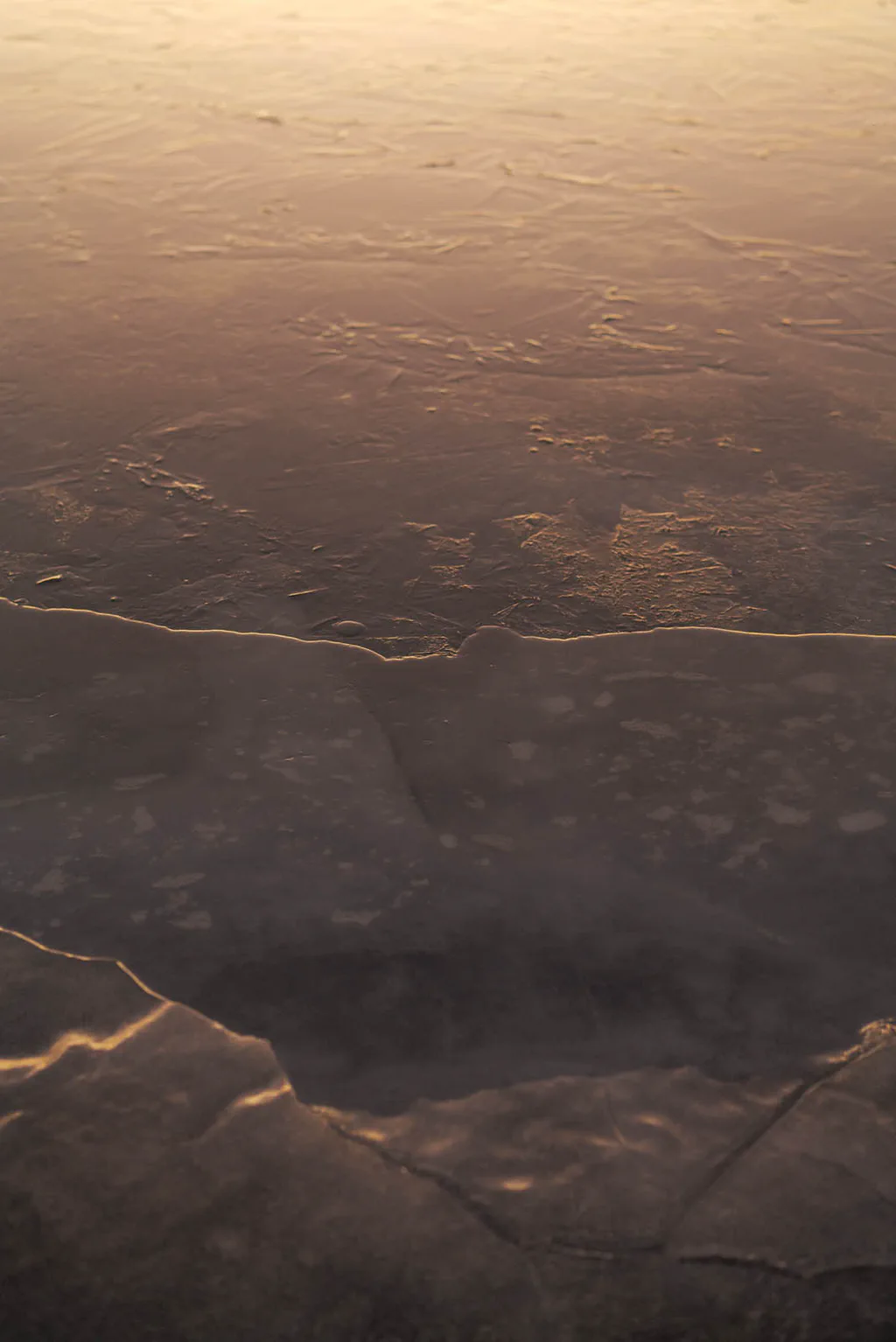 Cracked ice sheet catching low golden light