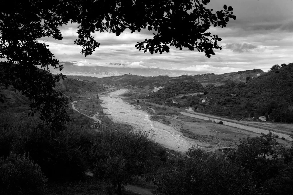 View through the trees over a valley and a wide dry riverbed at dusk