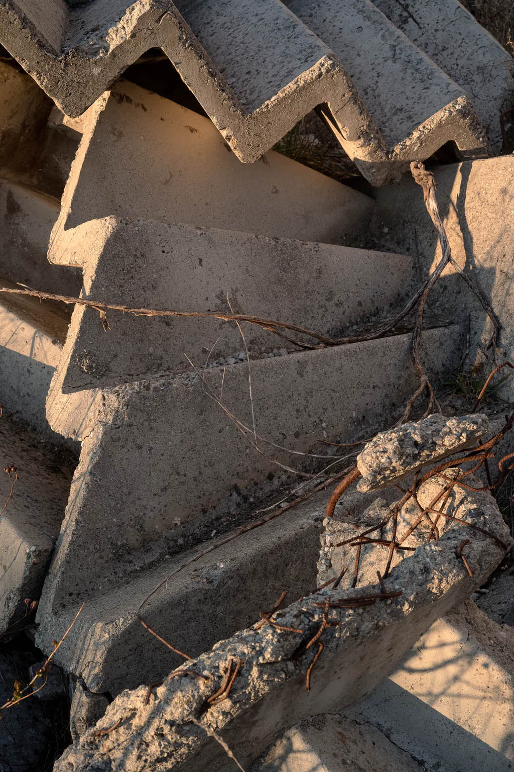 Stack of broken corrugated cement sheets among dry twigs